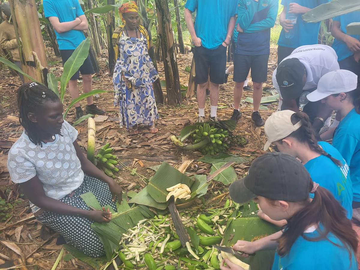 St Joseph's Rush tweet media