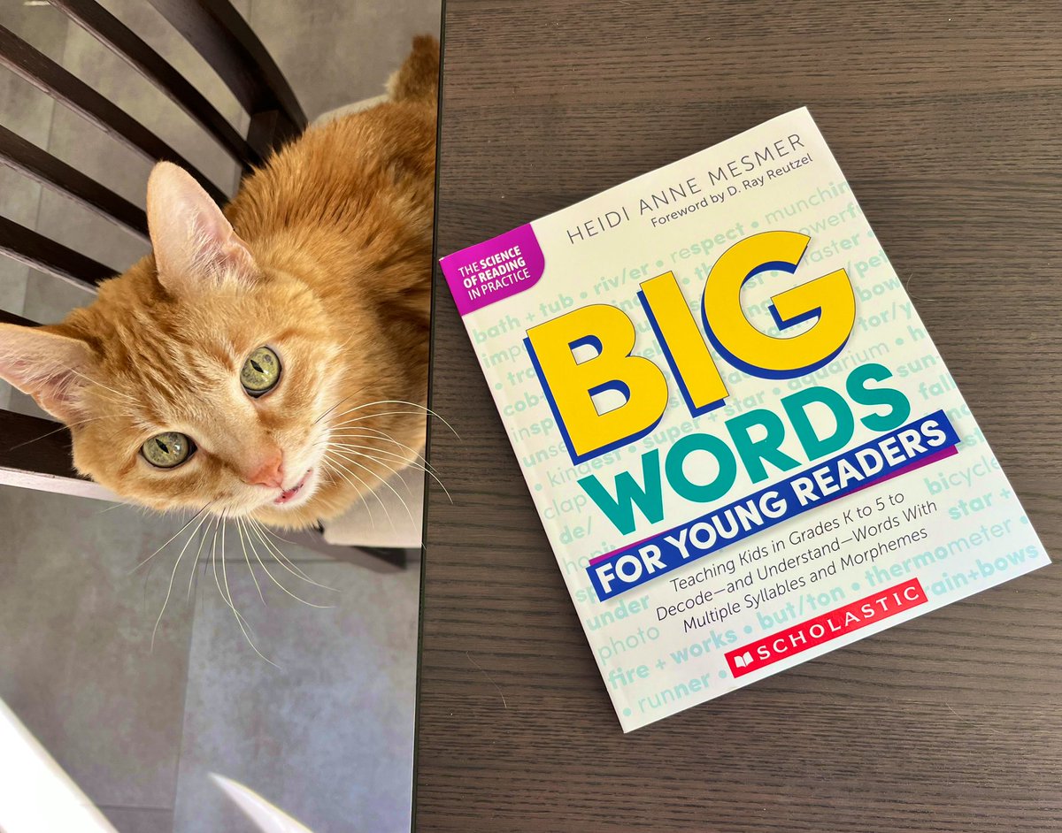 🧡Looking forward to checking out Big Words for Young Readers! #Literacy #EduTwitter #Cat #Scholastic