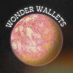 Zzeynepann's tweet photo. @shefiorg @zerion @tryphosphor #wonderwallets https://t.co/kvmE9oi2wr