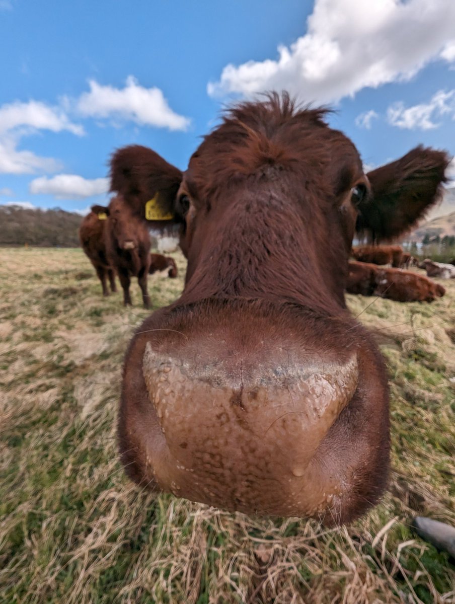 SusieG 💙 🇪🇺 tweet media