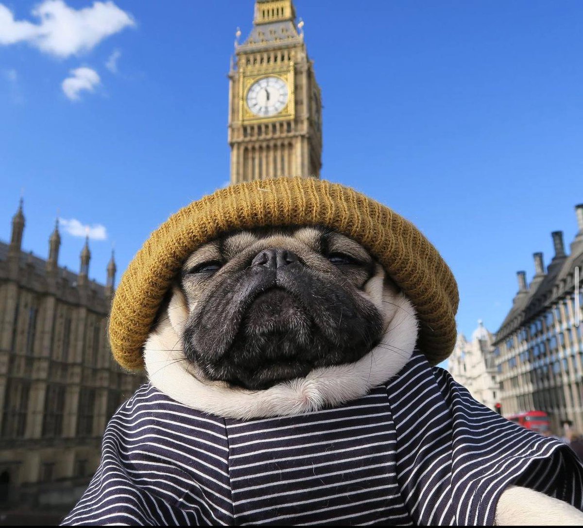 Ict_chu's tweet photo. @WatcherGuru Explaining on x how $Pug is currently only 100k mc 

@solpugwifhat https://t.co/7R1mI4bZbS