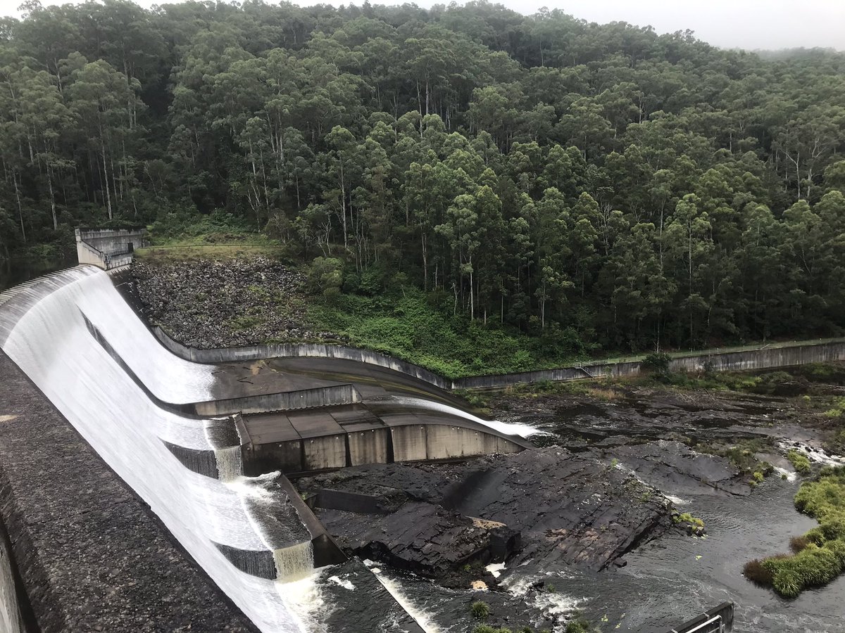 Danielle Verdon-Kidd tweet media