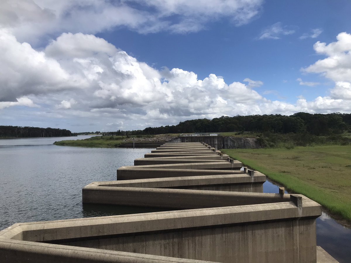 Danielle Verdon-Kidd tweet media