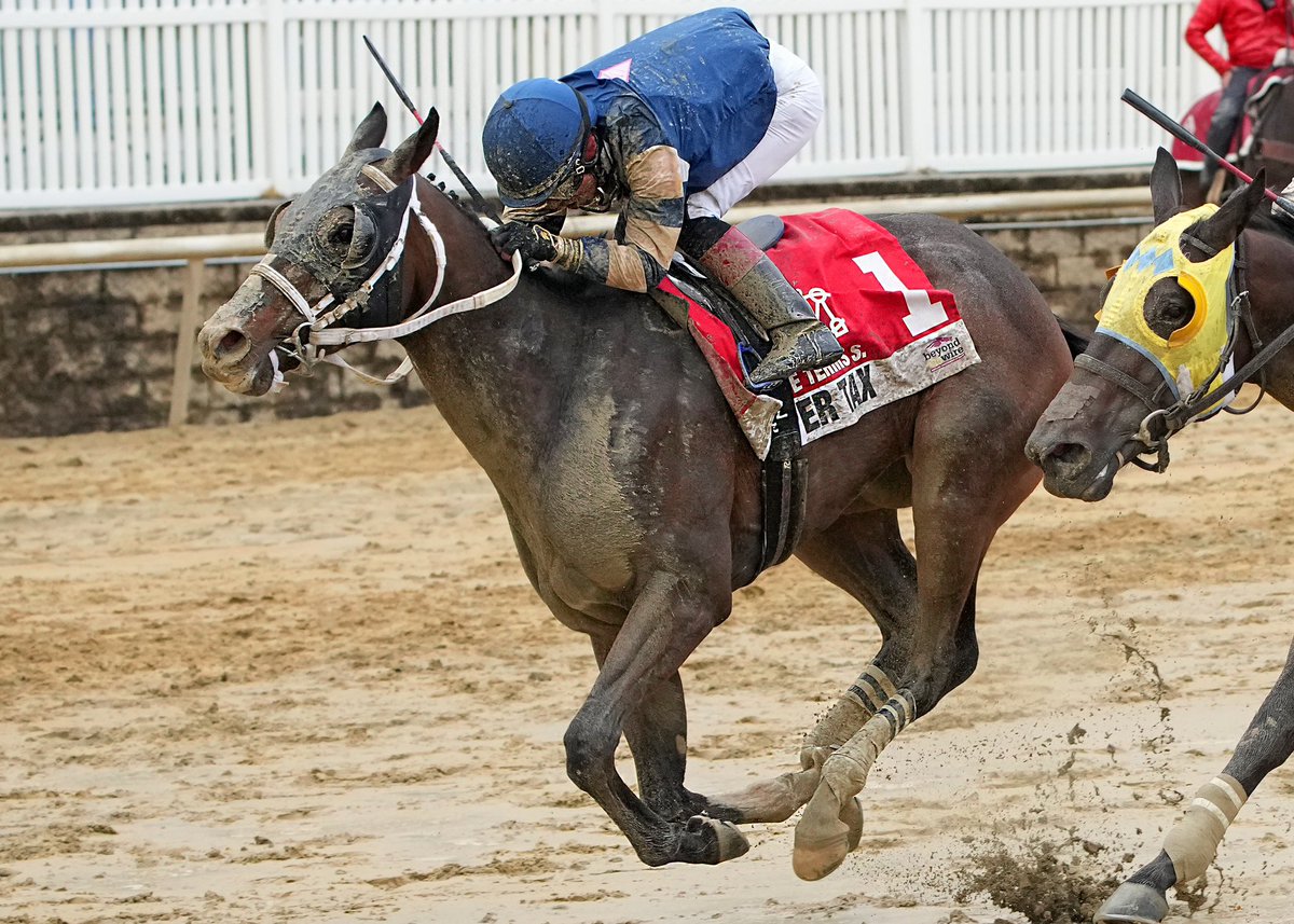 Copper Tax finds winner’s circle for 6th time and first of 2024 with off-pace score in 1 1/16M Private Terms S. @LaurelPark. 3YO Copper Bullet colt ridden by J.G. Torrealba for Gary Capuano and owner Rose Petal Stable. Clears $300K in earnings. (Jeff Snyder/MJC 📷)