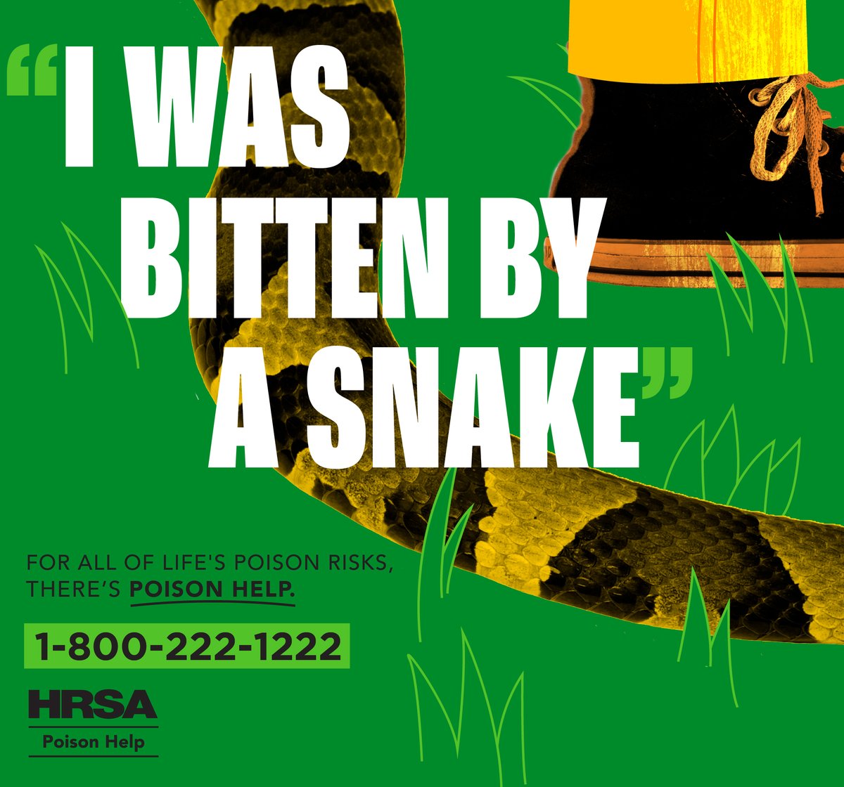 This National Poison Prevention Week, remember that not all bites are friendly! Whether it's a snake or any other venomous creature, quick action is crucial. Save the number for poison help: 1-800-222-122.  #SnakeBiteSafety #EmergencyAssistance #PreventPoison #StaySafe