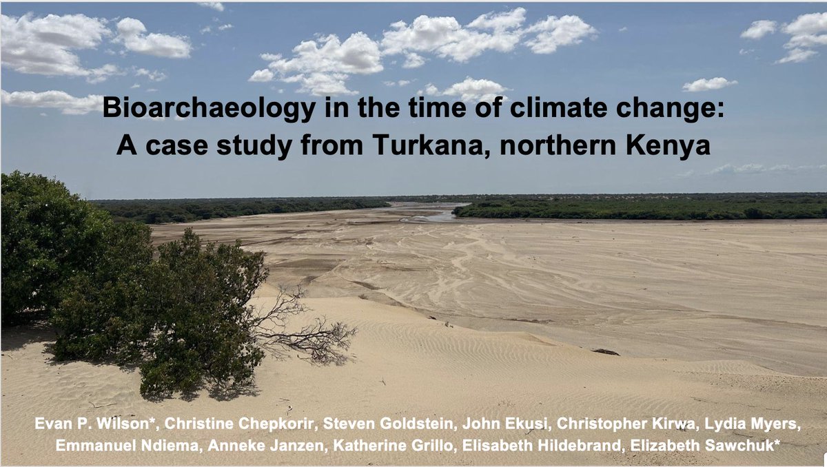 palaeobeth's tweet image. Alright #AABA2024 fam, talking about climate change, community engagement & ethics in the afternoon bioarch sesh! 3 pm Platinum E. 🇰🇪✌️