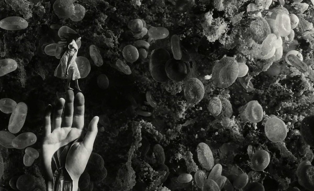 poor things (2023) dir. yorgos lanthimos