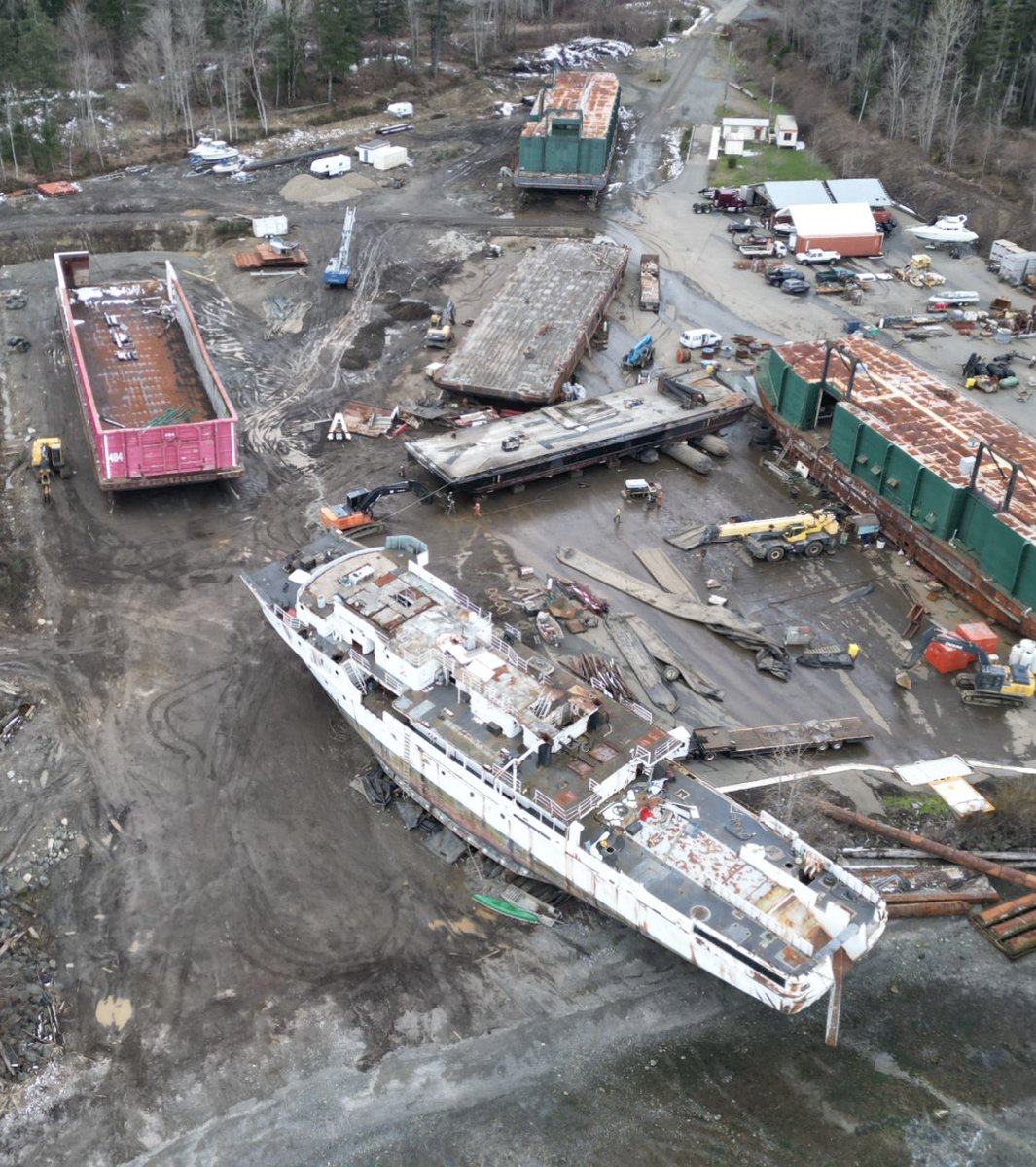 malloyd60's tweet image. @EatMagazine, next time you ask for oysters in a restaurant; remember that since 68% come from Baynes Sound, where a shipbreaking facility is discharging heavy metals.   Pollution Abatement Order issued.