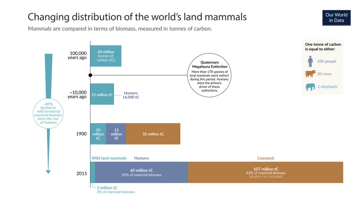 And for those of you wondering....there has been an 85% decline in wild (terrestrial) mammal biomass since the rise of humans.

85%.

Anyone who thinks this is indicative of "success" does not understand ecology.

ourworldindata.org/wild-mammals-b…
