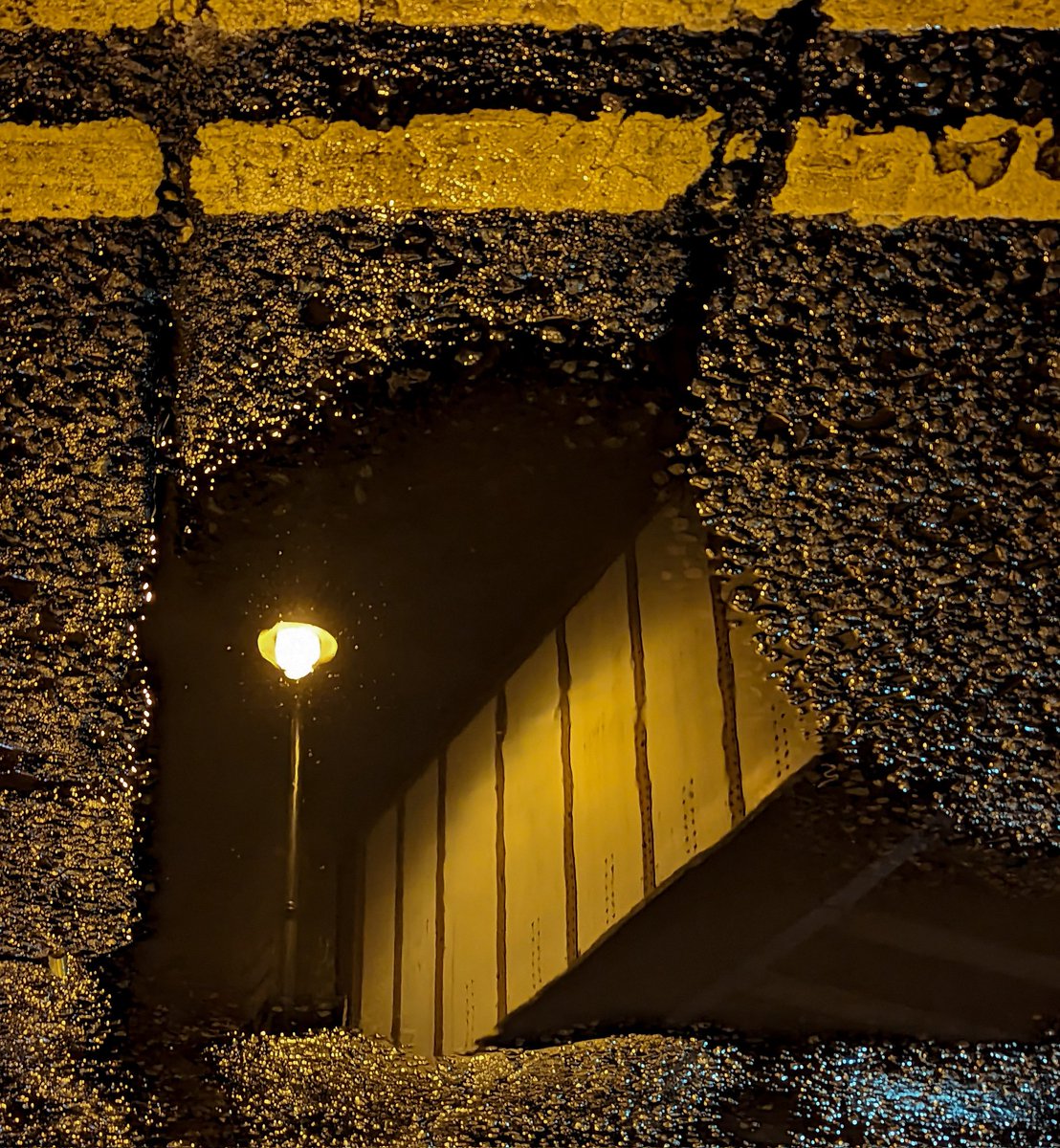 Carl 📷 tweet media