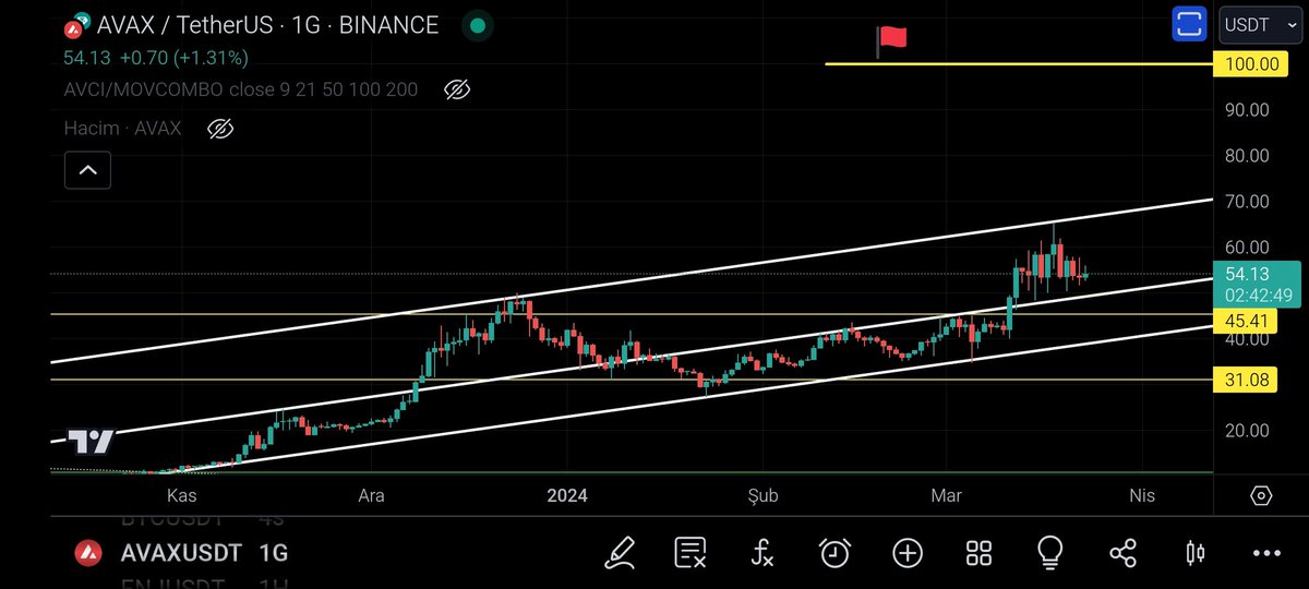 #AVAX çektim bayrağı göndere 🚩🚩