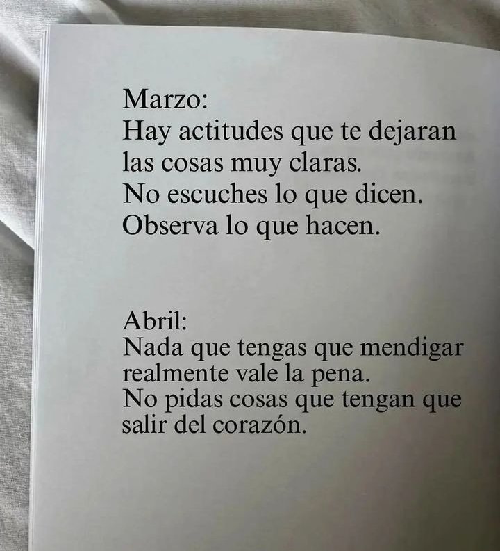 🤍