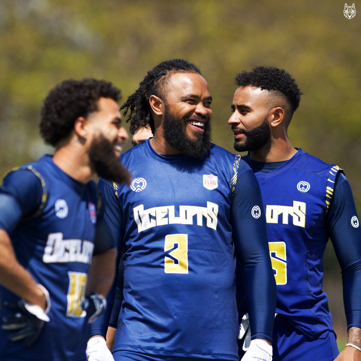 Dallas Ocelots tweet media