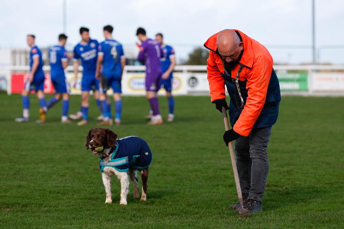 #Groundweek shoutout to all volunteer grounds staff everywhere (and their dogs🐶) who get the games on at every level! 📸@snapperjames Picture - Groundsman at @MouseholeAFC @thegma_