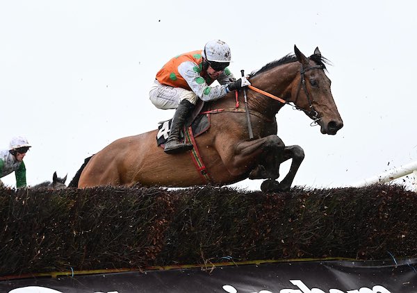 Banter At The Bar <a href="/jamie_scallan1/">Jamie Scallan</a> winner of todays 4yo maiden at Portrush for <a href="/farmerdoyle16/">Sean Doyle</a> <a href="/MonbegStables/">Monbeg Stables</a> 
📸 healyracing.ie