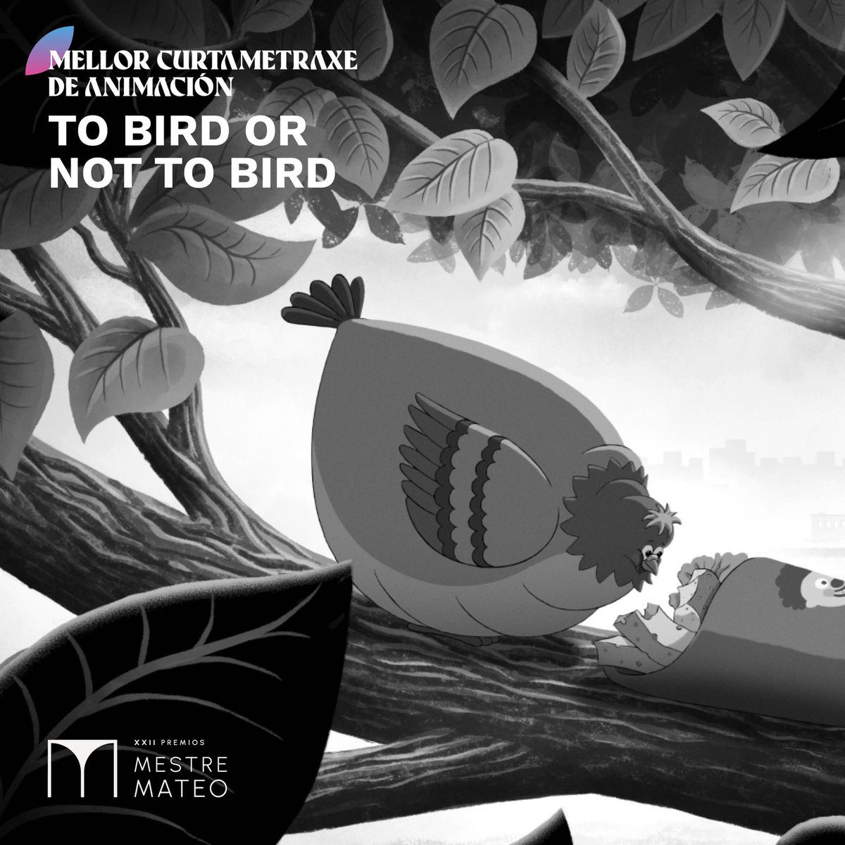 XXII #PremiosMestreMateo 🏆MELLOR CURTAMETRAXE DE ANIMACIÓN 🎬To bird or not to bird @AbanoProducions @unikoec @GranxaOCancelo @estrellagalicia @ConcelloCoruna @CulturaXunta @DACCultura @TVGalicia