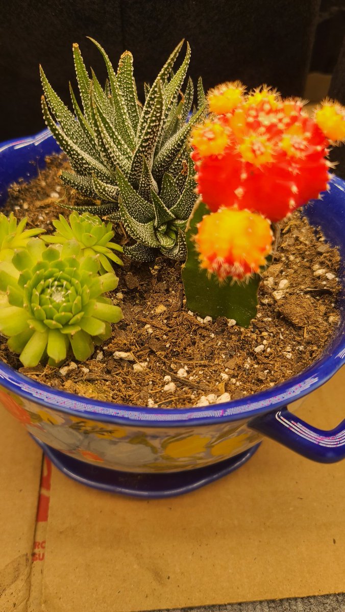 Hey guys!  If you're not following us on twitch or kick, what are you waiting for? We will be live tomorrow for an update and let you know where we have been, and what we have been up to!  Make sure you turn notifications ON, so you will know when to come chill!  C U tomorrow!