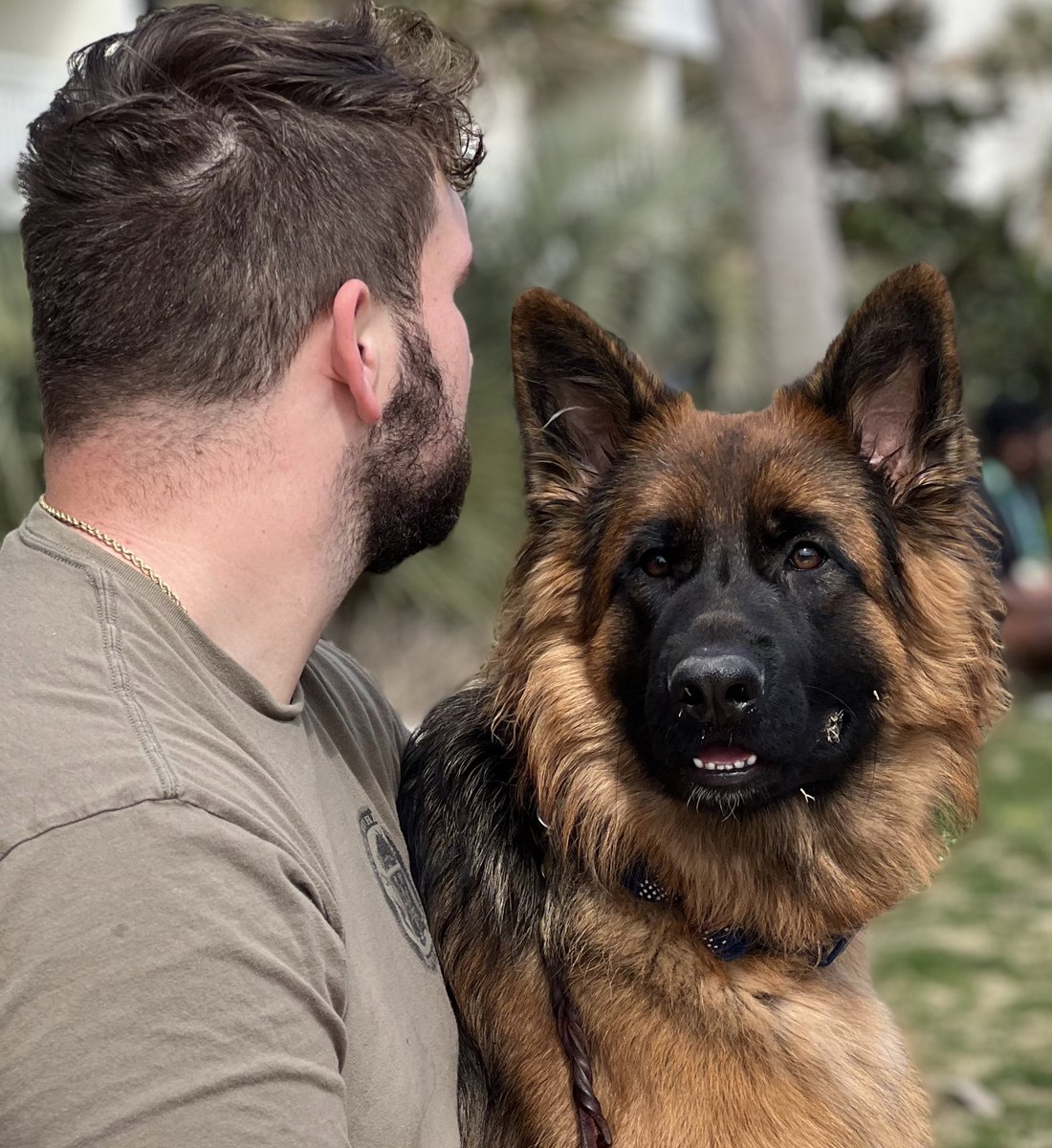 Austin Mosier tweet media