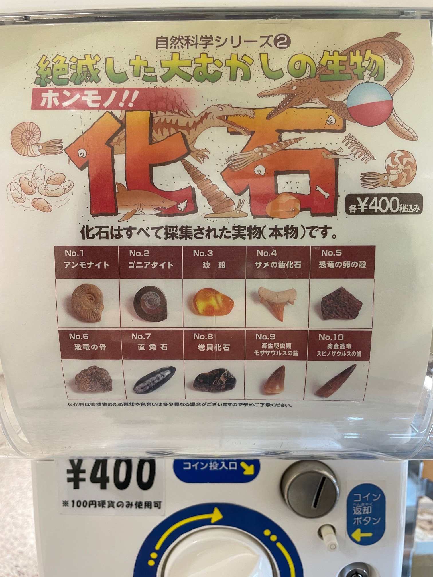 自然科学シリーズ 化石 カプセルガチャ 絶滅した大むかしの生物