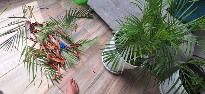 Aveces algunas cosas en nuestra vida parecen estar bien y tal vez lo est&eacute;n, pero no nos dejan avanzar<a href="/tag/felizmartesatodos"class="tags"><span>#felizmartesatodos</span></a>