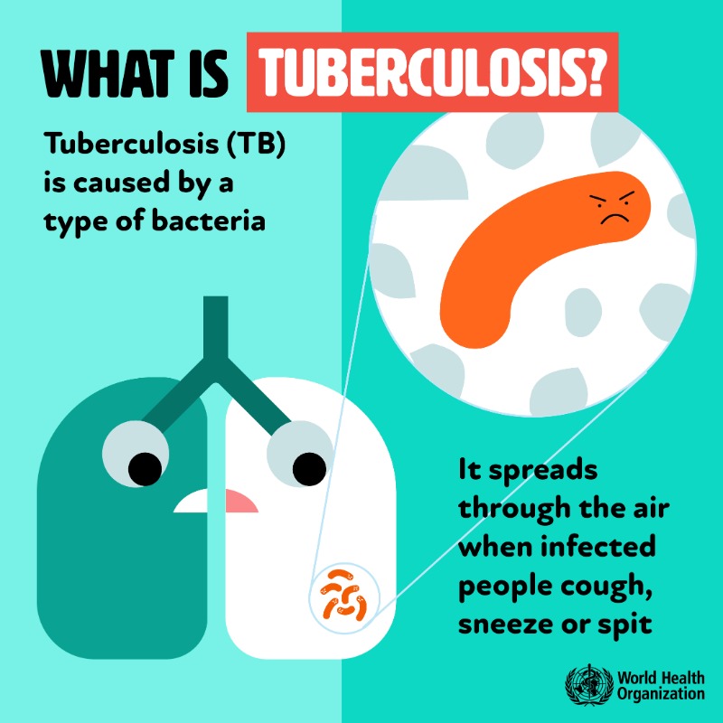 WHO's tweet photo. Today is #WorldTBDay.

#Tuberculosis - or TB - is caused by bacteria Mycobacterium tuberculosis that mainly affects the lungs.

Common symptoms include
❗️ Cough
❗️ Chest pains
❗️ Weight loss
❗️ Fever
❗️ Night sweats

Learn more about TB 👉https://t.co/0jbErIdeIy #EndTB