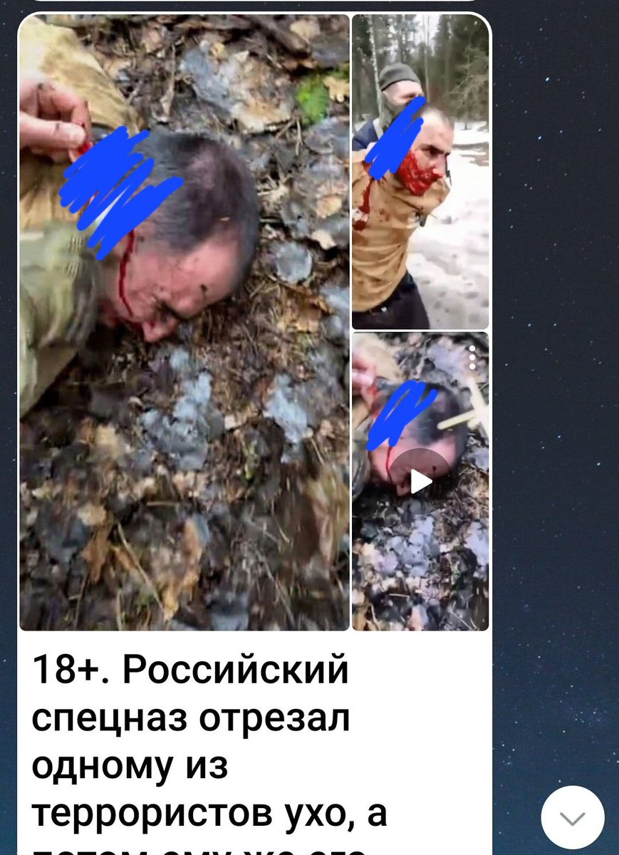 Drew Pavlou 🇦🇺🇺🇸🇺🇦🇹🇼 tweet media