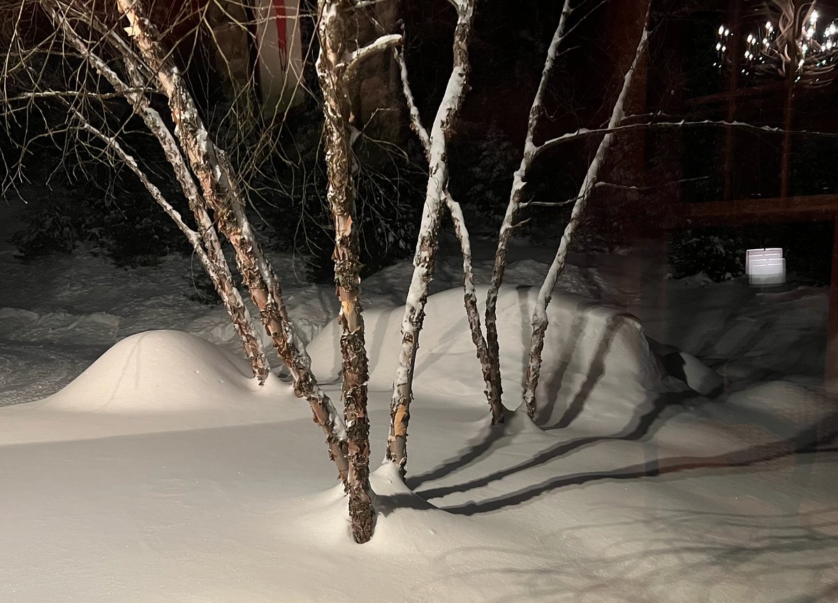 There's a car in there somewhere.