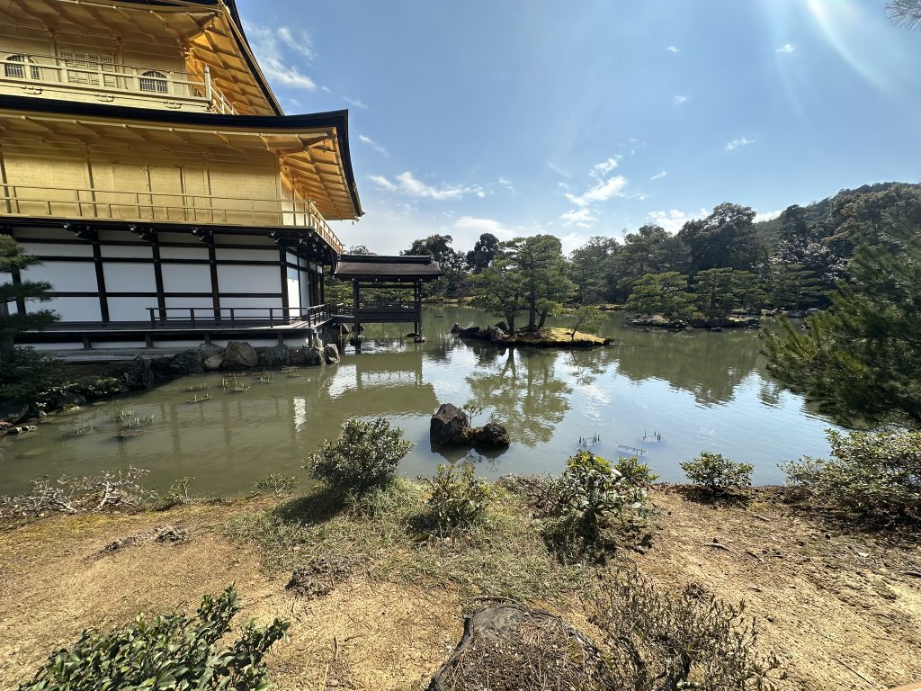 SmashMicro's tweet image. Goodbye Japan 🫡