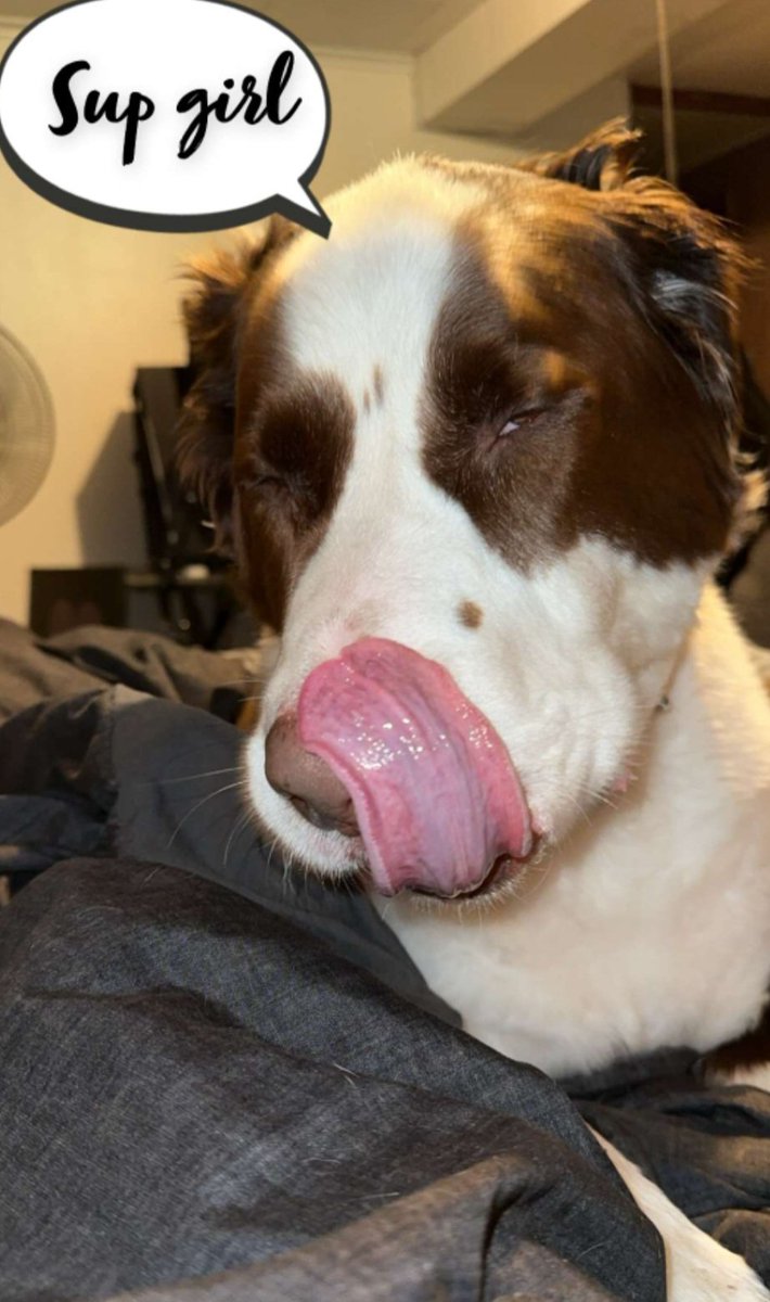 Perplexii's tweet image. 