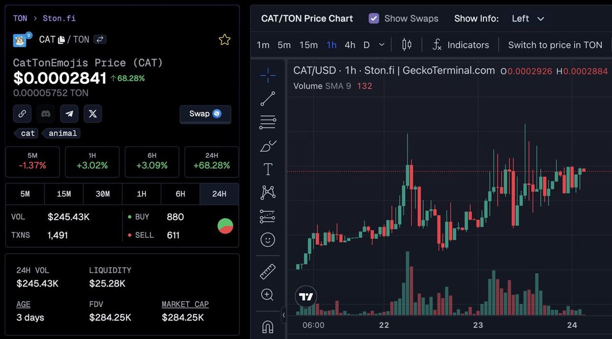 Tes Nguyen 🎒 tweet media