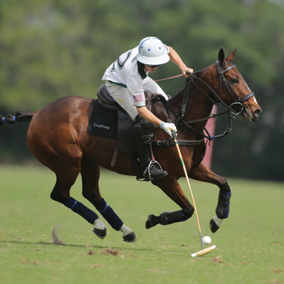 #USPALive #GauntletofPolo #GoldCup #Final Schedule for Sunday, March 24:
3:00PM ET La Dolfina vs. Valiente – U.S. Polo Assn. Field One