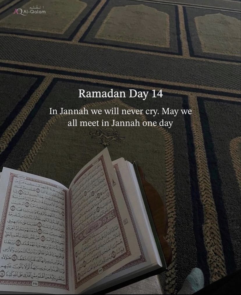 Zayyad_Yazeed's tweet photo. Ramadan Day 14. ✨🌙 https://t.co/vgV6zUpyam