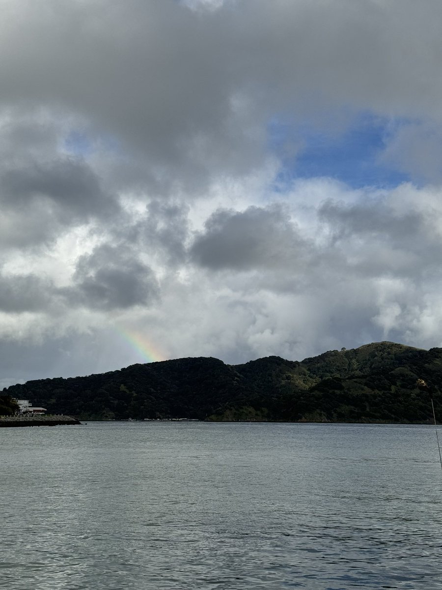 Angel Island - Tiburon Ferry & Captain Maggie ⚓️ tweet media