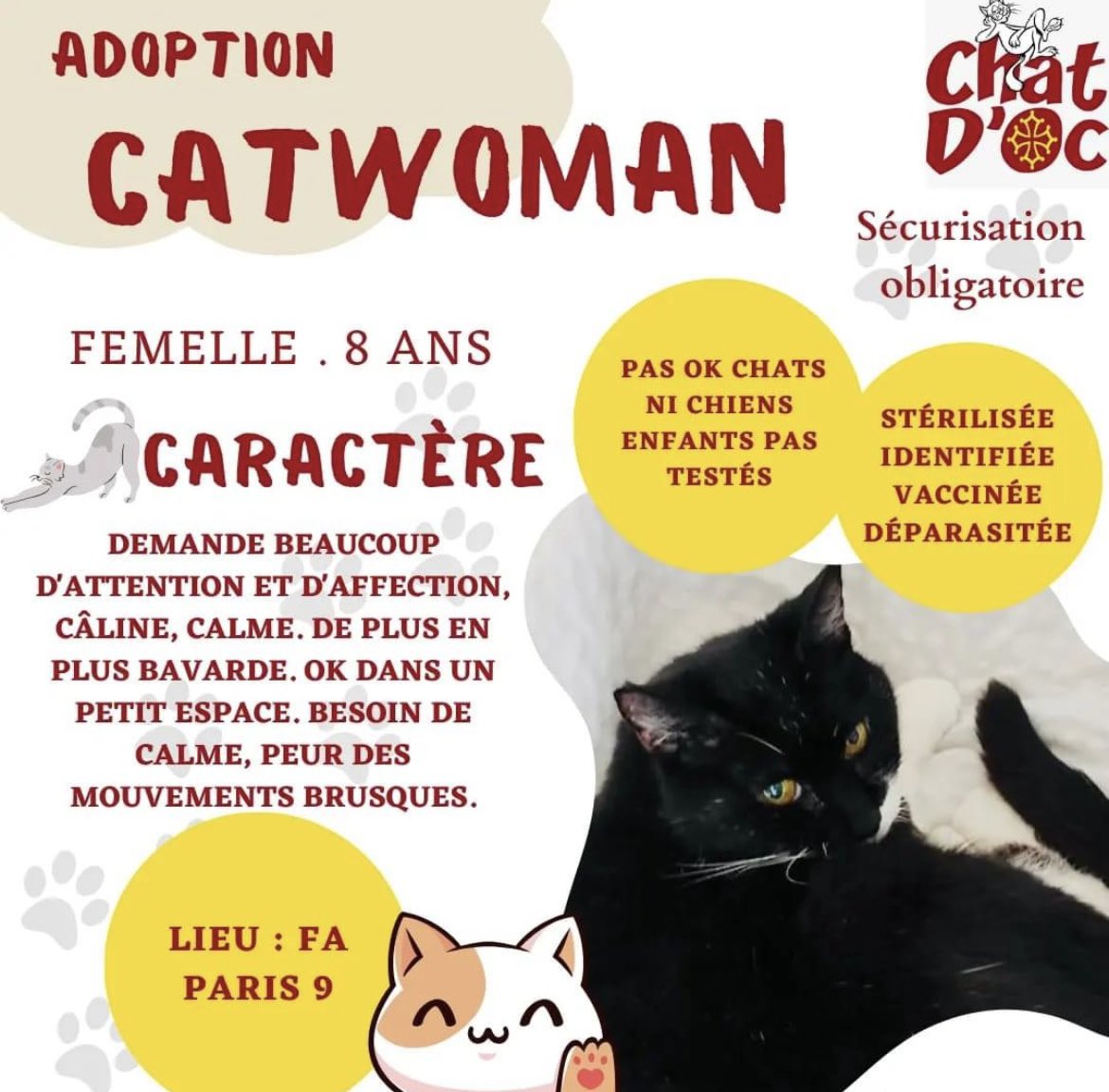 chatdoc13's tweet photo. À L'#ADOPTION #paris #iledefrance

😻 CATWOMAN femelle adulte née en mars 2016 (c'est son anniversaire 🥳🥳🥳). STÉRILISÉE, IDENTIFIÉE, VACCINÉE, DÉPARASITÉE. https://t.co/L0rwJ9EEbE