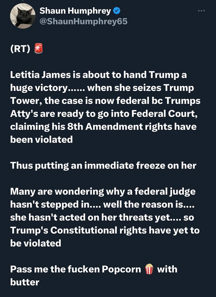 'These people are stupid.' - Q
#LetitiaJames #Trump #TrumpTower #Federal #8thAmendment #Constitution