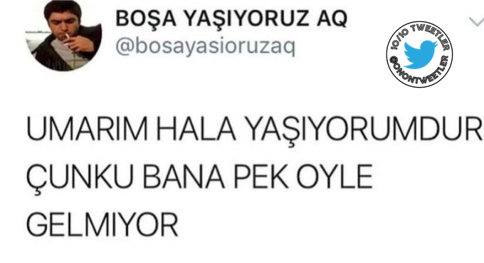 10/10 Tweetler (@onontweetler) on Twitter photo 