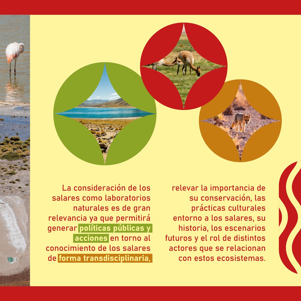 Salares Laboratorios Naturales tweet media