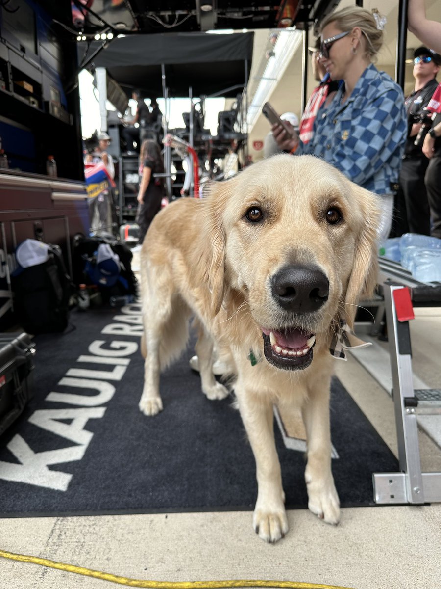 In other news: cute doggo keeping us all calm on pit road