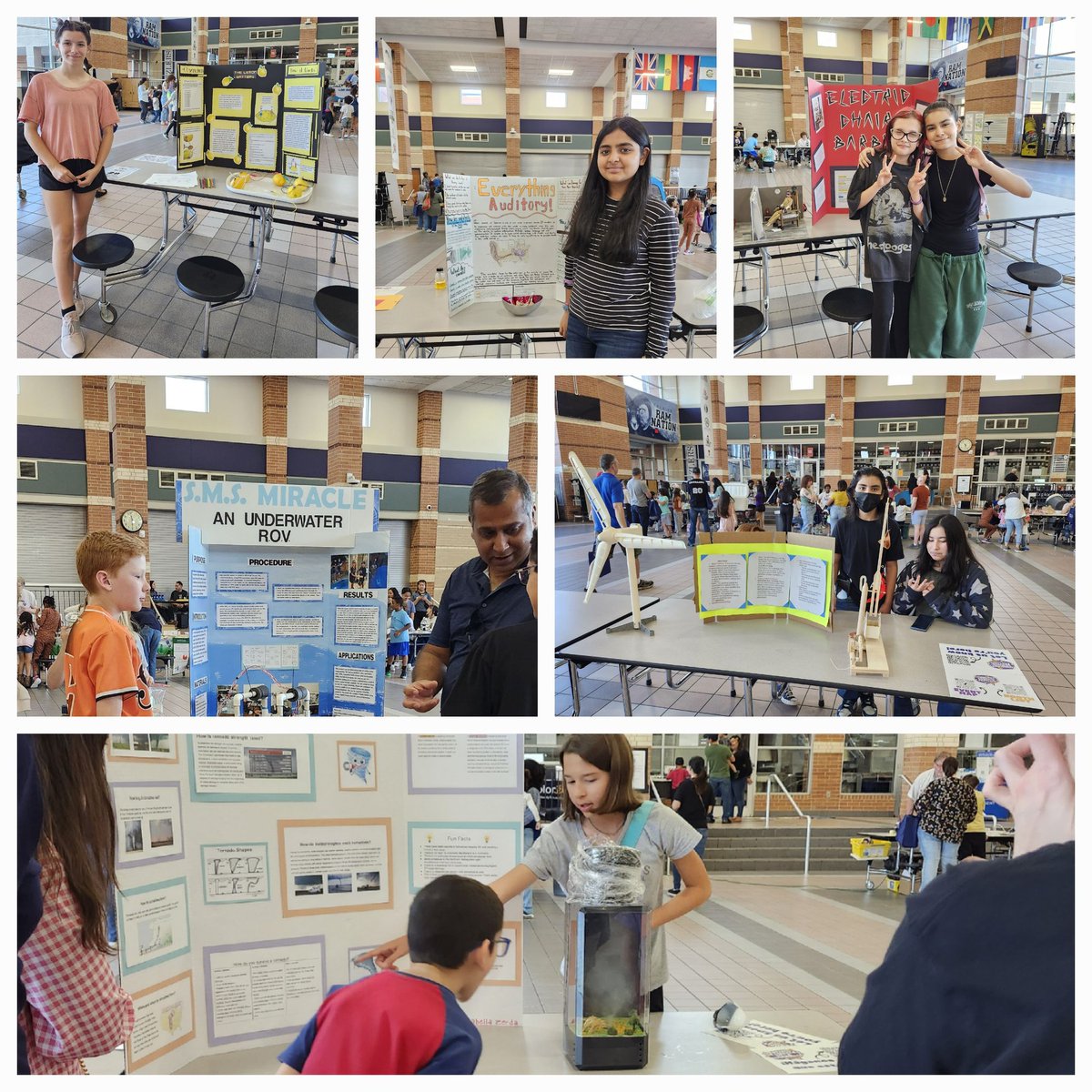 #cfisdscifest #becurious #wearesalyards <a href="/jgricketts/">Jamie G. Ricketts</a>
What an amazing fun-filled science day! Our Salyards scientists were brilliant!