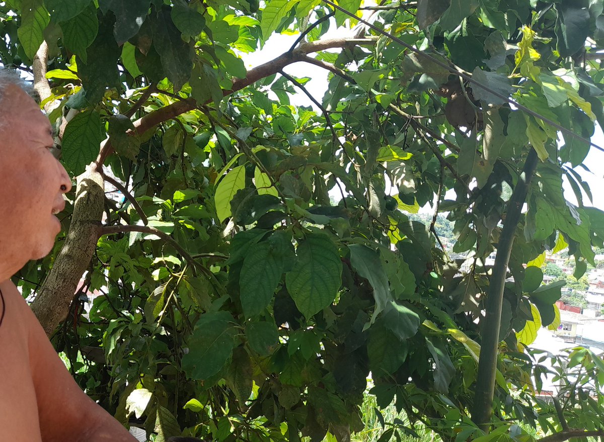 #Amorverdaderopadre   solo hay uno, inigualable por siempre