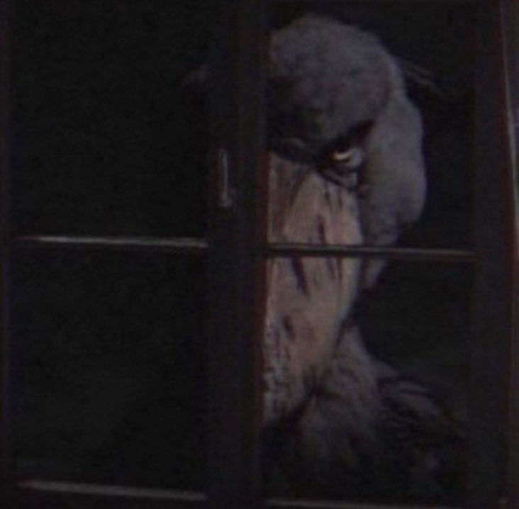 Asura☀️ tweet media