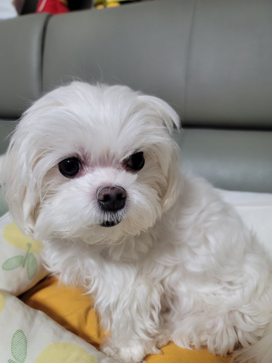 HLEDelight02's tweet photo. 오랜만 https://t.co/gG3HkhW4ih