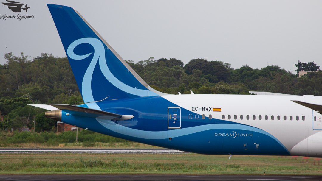 El Norse livery de <a href="/AirEuropa/">Air Europa</a> volviendo a Paraguay luego de 2 años!