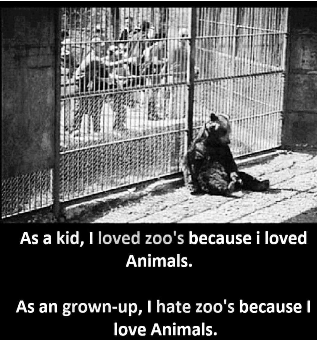 Captive breeding for release in the wild has justification. But zoos created for entertainment have virtually no value. Taking children to zoos to create future conservationists, is like taking young kids to prisons to create law-abiding future citizens. @SanctuaryAsia