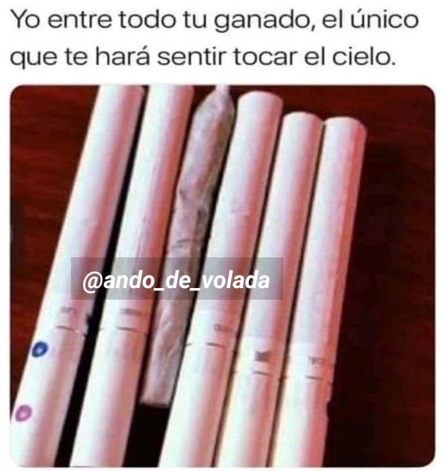 Ando_de_volada (@ando_volada_) on Twitter photo 