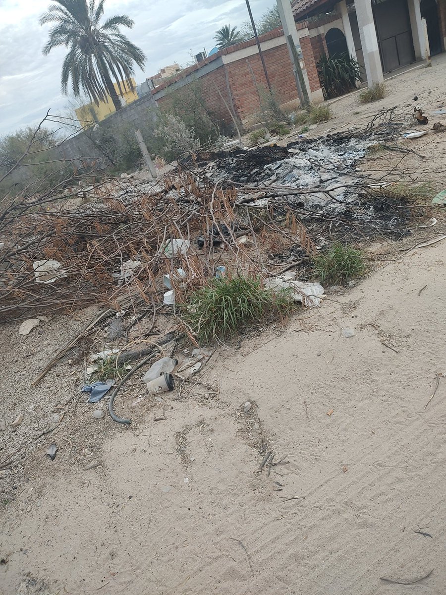 rebecanale's tweet photo. @servpublicoshmo Y para cuando esté basurero  tengo más de un mes reportando y todo sigue igual https://t.co/bZgI6HAoUW