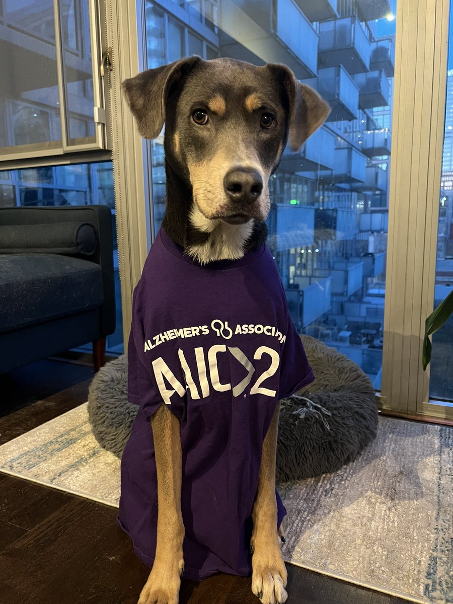 Chumbo is ready for #AAIC24 Happy National Puppy Day!