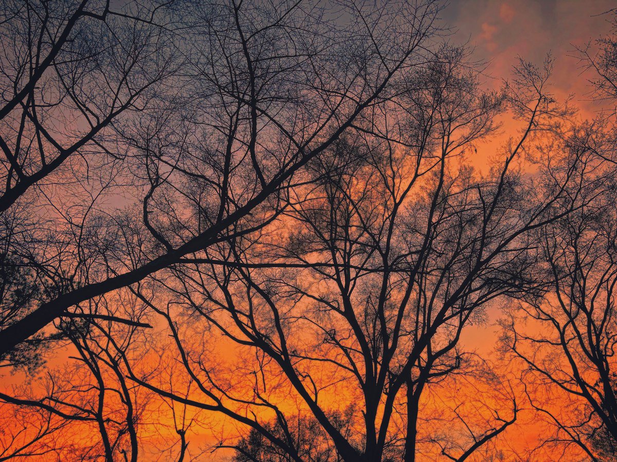 The sky lighted up for Saturday night y’all. #choose901 #ilovememphis #sunsetphotography #weekendmood