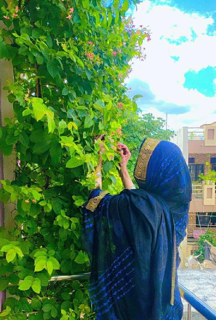 GOOD MORNING My Sweet X Family🌹
Assalamualikum!
Will you Reply My Salam?✨