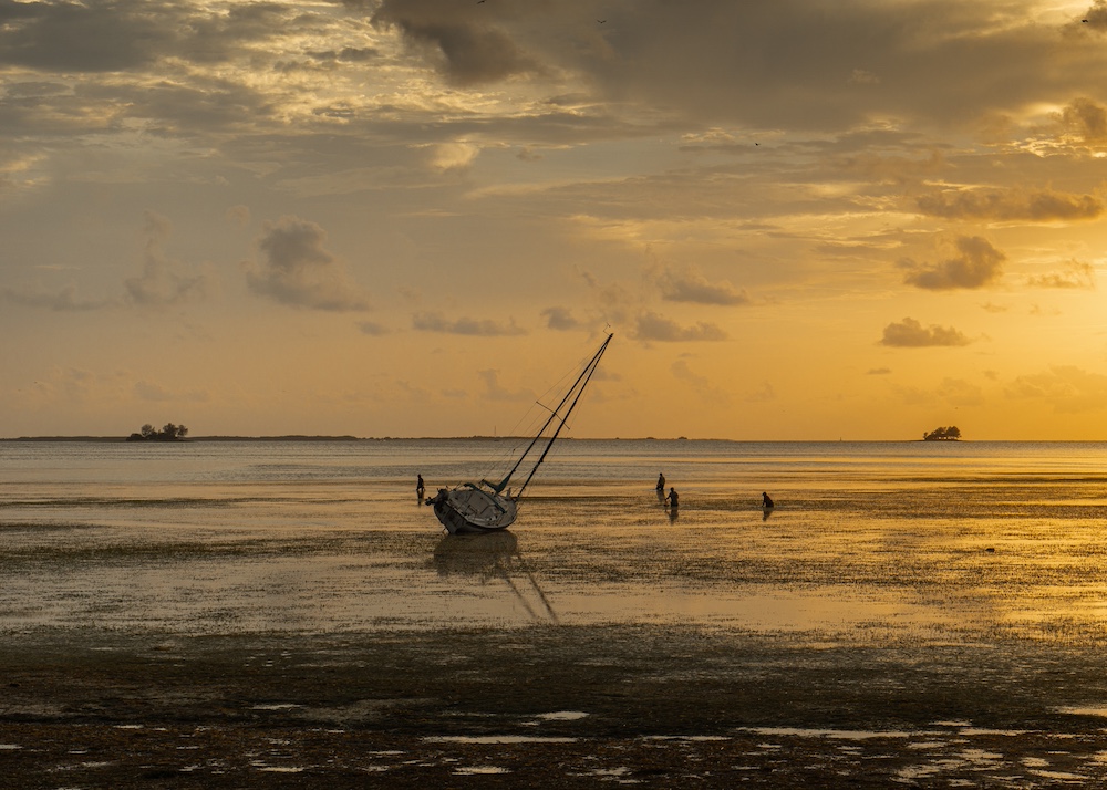 "Scallopers at Crystal Beach, FL" © Nancy Ahmadifar - 1/43 images in BCC Members Exhibition at the Wellesley Free Library, 530 Washington Street, Wellesley, MA.  Show runs through 3/28, please come visit! 

More info at bostoncameraclub.org.